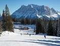 Skigebiet: Abfahrt Gamsjet Grubigstein - Skigebiet Grubigstein/Lermoos - Zugspitz Arena