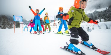 Skiregion - Preisniveau: €€ - Salzburg - Skigebiet Werfenweng