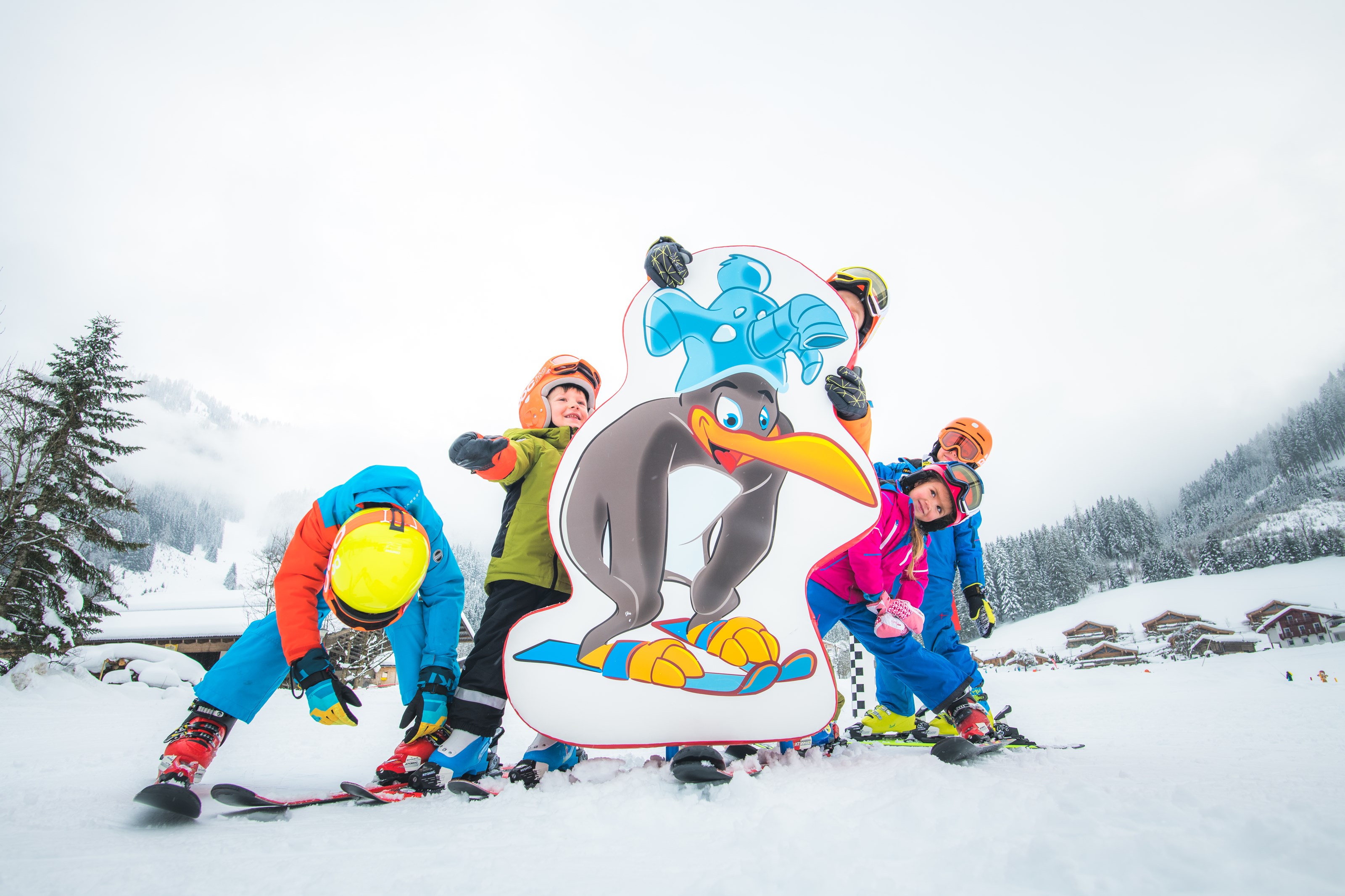 Skiregion - Pongau - Skigebiet Werfenweng