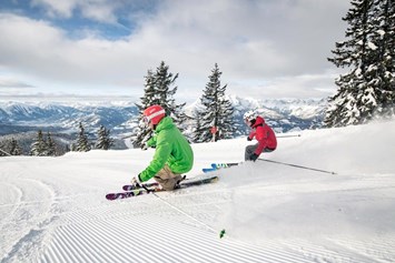Skigebiet: Skigebiet Werfenweng