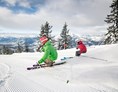Skigebiet: Skigebiet Werfenweng