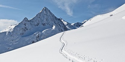 Skiregion - Skiverleih bei Talstation - Vent - Unberührte Hänge im Skitoureneldorado rund um das Bergsteigerdorf Vent - Skigebiet Vent