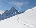 Skigebiet: Unberührte Hänge im Skitoureneldorado rund um das Bergsteigerdorf Vent - Skigebiet Vent