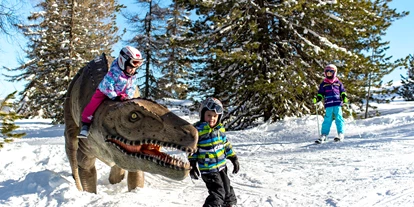 Skiregion - Steiermark - Skigebiet Kreischberg