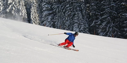 Skiregion - Steiermark - Carven am Familienschberg St. Jakob im Walde - Familienschiberg St. Jakob im Walde