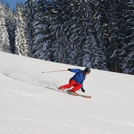 Skigebiet: Carven am Familienschberg St. Jakob im Walde - Familienschiberg St. Jakob im Walde