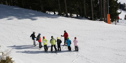 Skiregion - Steiermark - Familienschiberg St. Jakob im Walde