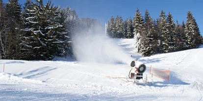 Skiregion - Steiermark - Familienschiberg St. Jakob im Walde