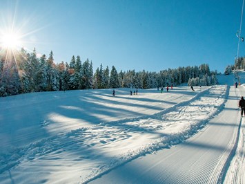 Skigebiet Bödele Vorstellung Lifte Schanzenblick