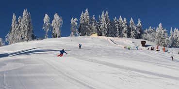 Skiregion - Kinder- / Übungshang - Vorarlberg - Skigebiet Bödele