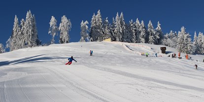 Skiregion - Kinder- / Übungshang - Vorarlberg - Familienskigebiet Bödele, Hochälpele - Skigebiet Bödele