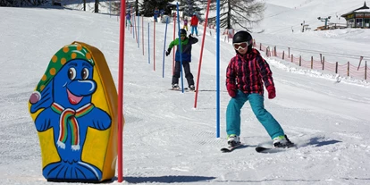 Skiregion - Preisniveau: €€ - Skigebiet Emberger Alm