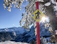 Skiregion: Schneeschuhtrail in Dachstein West (c) Dachstein Tourismus AG_ JuliaBerger - Skiregion Dachstein West