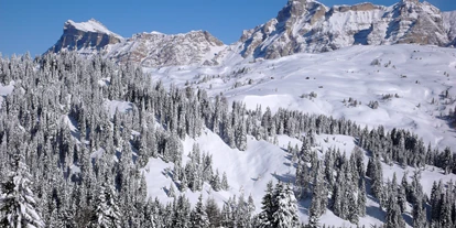 Skiregion - Belluno - Skigebiet Alta Badia