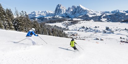 Skiregion - Après Ski im Skigebiet: Skihütten mit Après Ski - Trentino-Südtirol - Skigebiet Seiser Alm