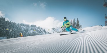 Skiregion - Skigebiet Ladurns