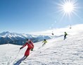 Skigebiet: Skischule Watles - Skigebiet Watles