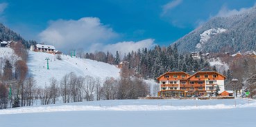 Skiregion - Hotel Almrausch