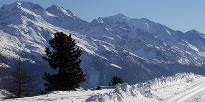 Skiregion - Wallis - Skigebiet Bürchen-Törbel / Moosalp