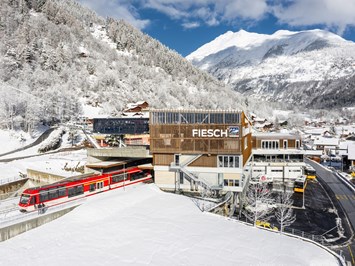 Skigebiet Aletsch Arena Vorstellung Lifte ÖV-Hub Fiesch