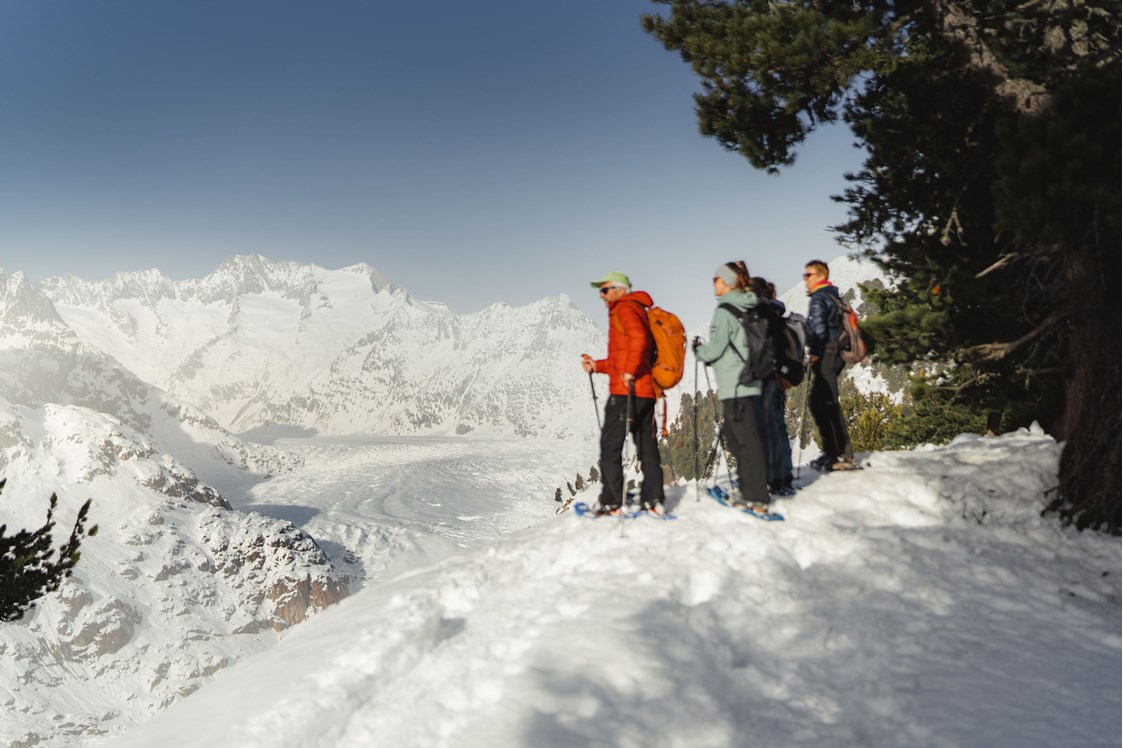 Skigebiet: Schneeschuhlaufen mit Blick auf den Grossen Aletschgletscher - Skigebiet Aletsch Arena