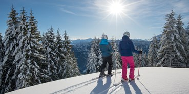 Skiregion - Skiverleih bei Talstation - Schweiz - Skigebiet Pizol - Bad Ragaz - Wangs