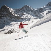 Skigebiet - Jungfrau Ski Region / Skigebiet Grindelwald - Wengen