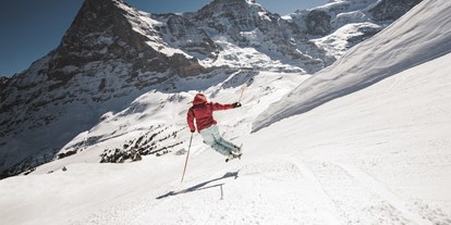Skiregion - Rodelbahn - Schweiz - Jungfrau Ski Region / Skigebiet Grindelwald - Wengen