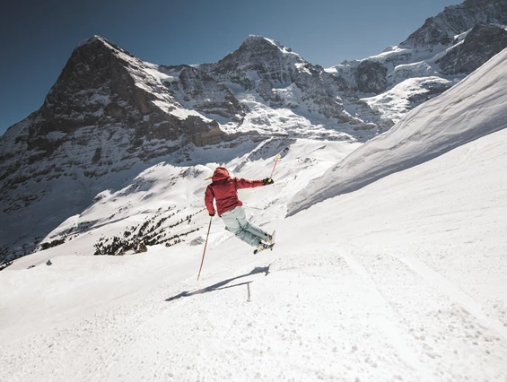 Skigebiet: Jungfrau Ski Region / Skigebiet Grindelwald - Wengen