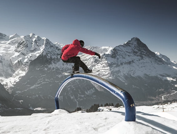 Skigebiet: Jungfrau Ski Region / Skigebiet Grindelwald - Wengen