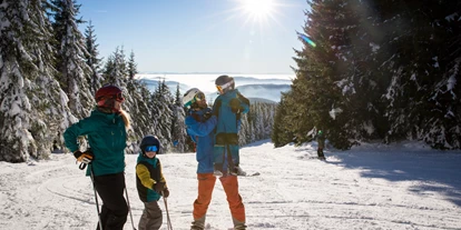 Skiregion - Preisniveau: €€ - Skigebiet Feldberg