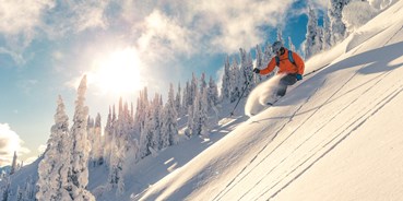 Skiregion - Preisniveau: €€ - Deutschland - Skigebiet Balderschwang