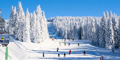 Skiregion - Skiverleih bei Talstation - Allgäu / Bayerisch Schwaben - Skigebiet Balderschwang