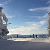Skigebiet - Verschneiter Almberg mit tollem Ausblick - Skigebiet Mitterdorf