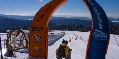 Skiregion - Après Ski im Skigebiet: Skihütten mit Après Ski - Bayern - Rodelbahn am Almberg - Skigebiet Mitterdorf